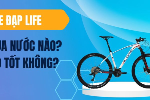 Xe đạp life