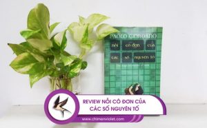 nỗi cô đơn các số nguyên tố